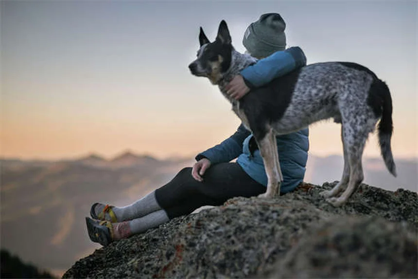 Scion 1 SXS: Toyota's Game-Changing Hybrid Off-Road Vehicle